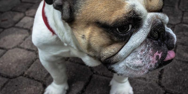 主题婚礼策划全案解析：从概念到执行的完整创意流程，打造专属婚宴与婚纱摄影