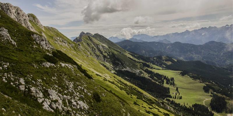 婚宴策划必修课：婚礼花艺设计全解析，从季节花材、预算控制到造型搭配