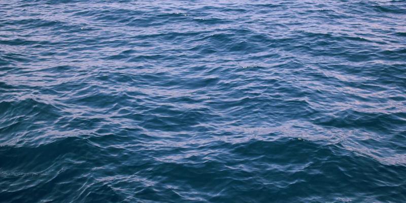 婚宴策划新趋势：如何用‘我的婚礼加’打造零浪费的绿色婚礼与婚纱摄影