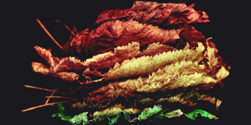 婚礼灯光设计艺术：如何运用光影营造浪漫氛围与提升摄影效果