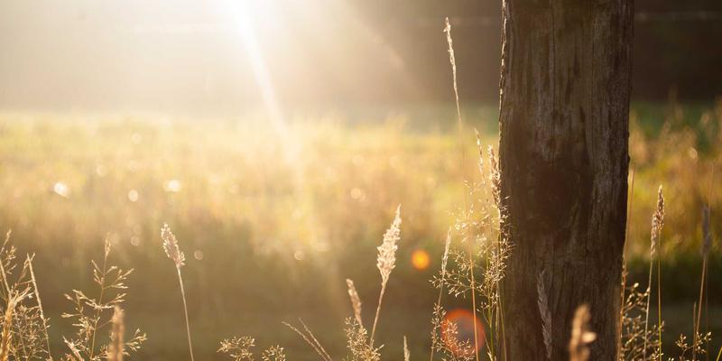 婚礼策划29：从‘婚礼布置’到‘我的婚礼加’，打造专属仪式感的完整指南