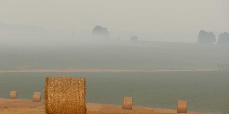 婚礼策划60天全攻略：从婚宴策划到婚礼布置的完美落地