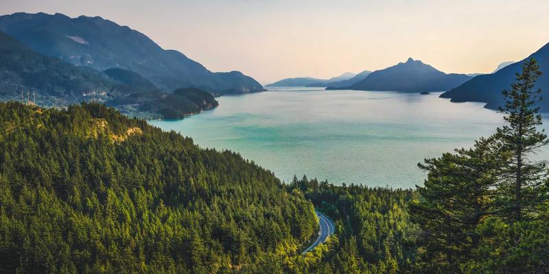 婚礼策划78：从婚纱摄影到婚礼布置的完整美学指南