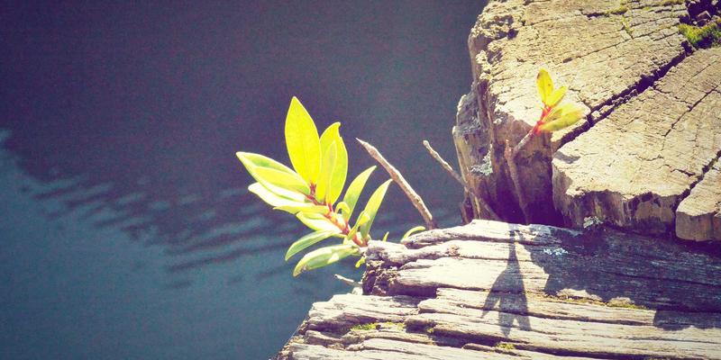 婚礼策划中的风险管理：应对天气突变与供应商突发状况的应急预案