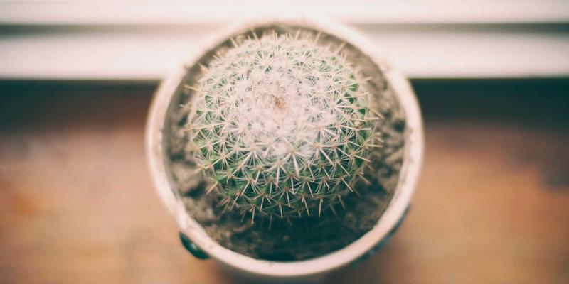 婚礼策划入门指南：从婚庆服务到婚纱摄影的完整筹备攻略