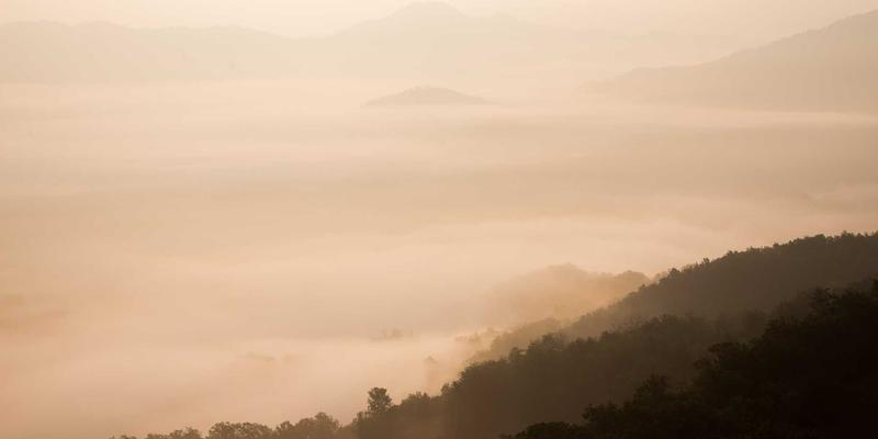 婚礼策划师的选择标准与沟通技巧：打造梦想婚宴的关键指南