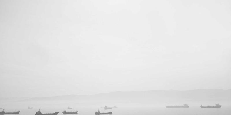 婚礼花艺设计与鲜花选择指南：从季节性花材到永生花应用，打造完美婚礼布置与婚纱摄影背景