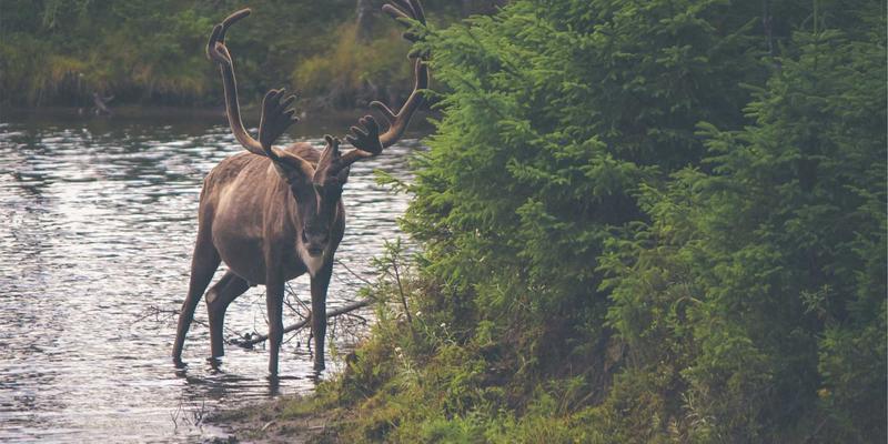 小型婚礼策划指南：如何在小预算下实现高质感与温馨氛围 | 婚礼布置与婚纱摄影秘诀