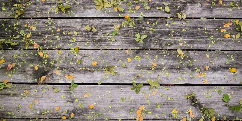 我的婚礼加复古风：从请柬到舞会的时代感婚礼策划与布置全解析