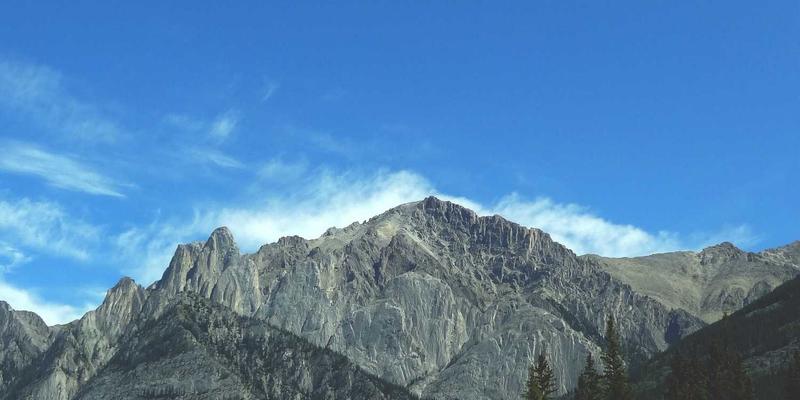 我的婚礼加：如何通过专业婚庆服务打造温馨难忘的小型私密婚礼